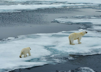 G20 performance on climate change