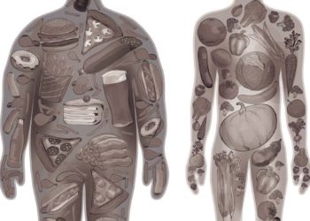 A tomorrow built on healthy food and sustainable agriculture