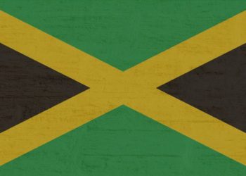 Considerations and the special interests of the CARICOM states