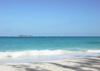 ADVOCACY: Ending plastic waste