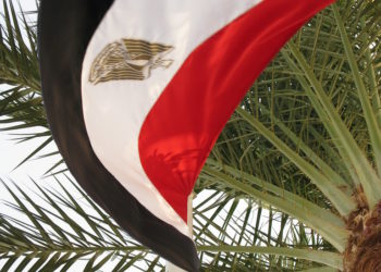 Africa and the G20: collaboration for shared prosperity