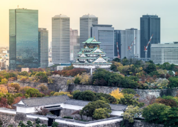 Prospects for the Osaka Summit