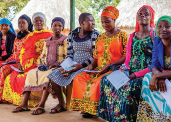 Financing universal health coverage in low-income countries