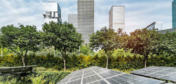 The green economy transition