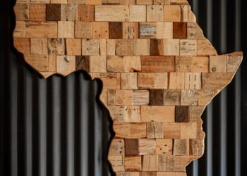 G7 performance on Africa