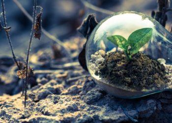 G7 performance on energy