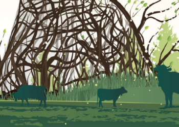 Nature: the basis of all human health