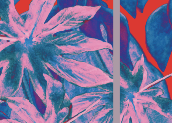 The Caribbean  experience