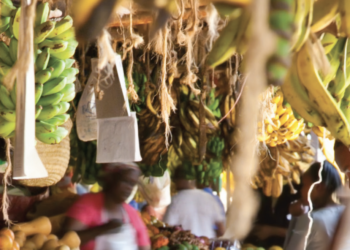 A recipe for healthy diets in Africa