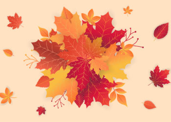 Nature: our greatest ally