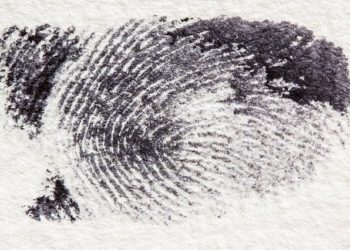 G7 performance on  European security