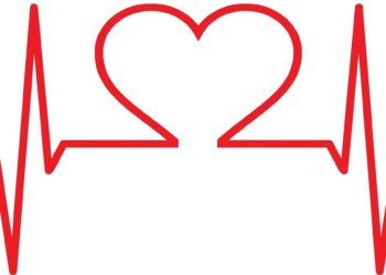 Health: a vital shared investment