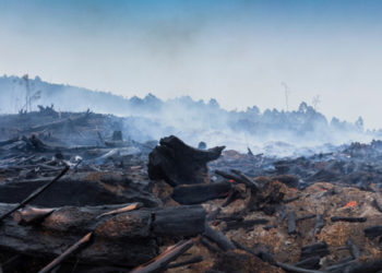 A year for tough decisions