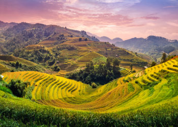 Realising tourism’s power as a recovery tool