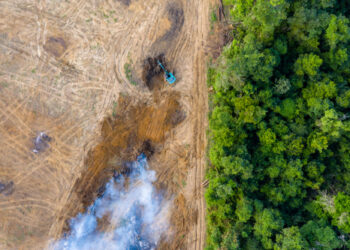 Becoming nature positive