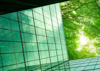 Build forward better