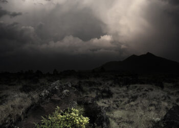 Global security and the G7’s growing centrality