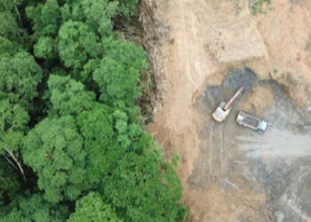 Systems for planetary health