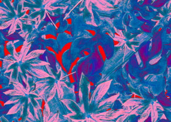 Seven rules for getting the politics right