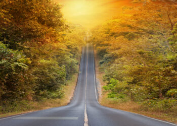 The road to global health security