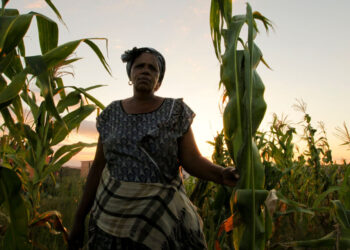 Three ways the G20 can empower women and strengthen food security