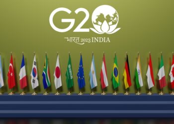 What is the role of the G20 in 2023?