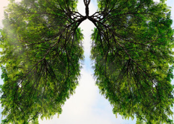 A new narrative of hope