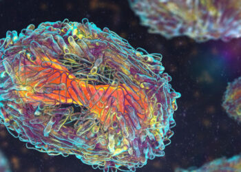 From theory to practice