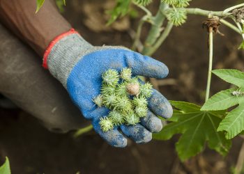 ADVOCACY: Rising to the challenge: meeting energy needs