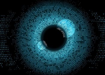 New barriers to cross-border crime