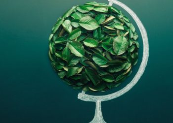 Our best chance for a sustainable future