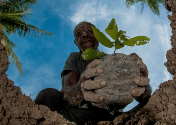 It is time to amplify Indigenous voices