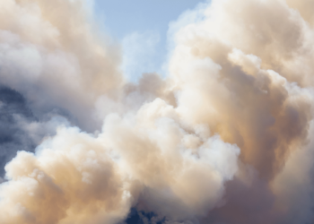 Taking a public health approach to emergencies: building on trusted relationships with the community