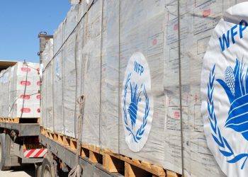 G20 Rio: a crucial turning point for global hunger