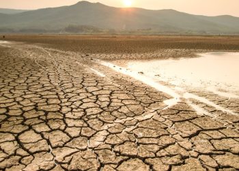 Climate change at a critical crossroads