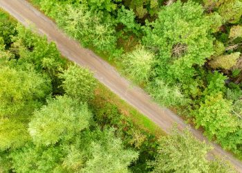 Canada at the G20: choosing progress