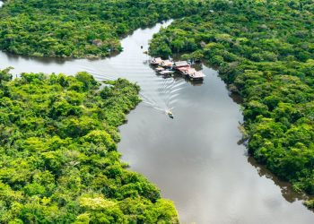 Empowering Indigenous guardians