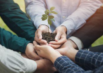 The sustainable finance agenda and G20’s engagement groups