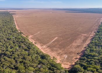 Ecocide: confronting environmental crime