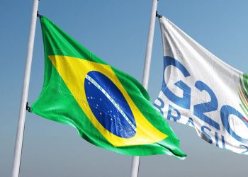 Brazil at the G20 summit: reform or delivery?