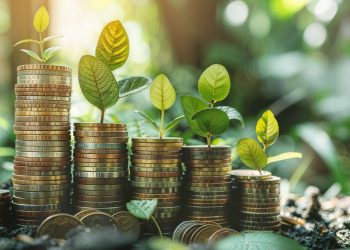 Building a fairer and greener world