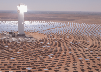 A closer look at South Africa’s approach