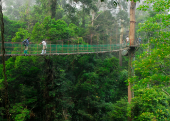 ADVOCACY Yayasan Sabah Group: pioneering sustainability