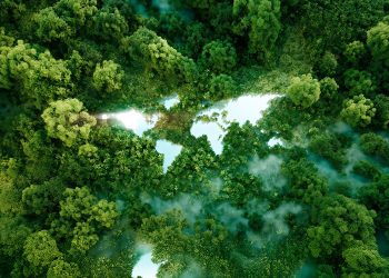 Reinforcing responsible tourism