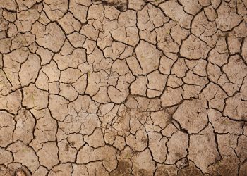 Beyond political choice: A legal mandate for planetary health in a fractured world