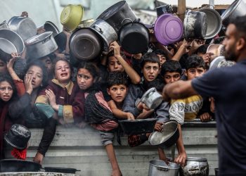 A world on the brink of hunger: Why G20 action cannot wait