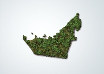 The United Arab Emirates in the G20: Collective action for a sustainable future